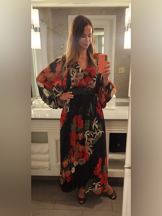 FARM Rio Dresses & Skirts - Farm‎ Rio Anthropologie Long Sleeve V Neck Floral Maxi Dress Medium